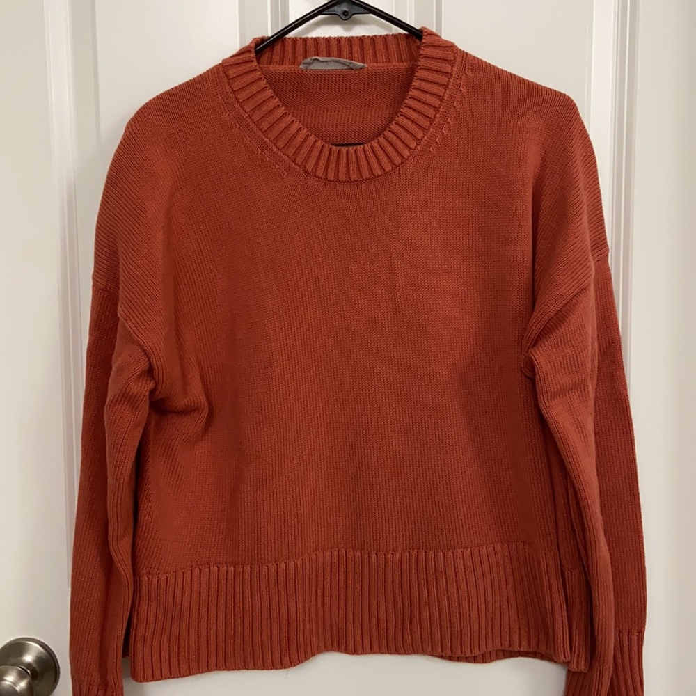 Women Everlane  Cropped Crew-neck Sweater